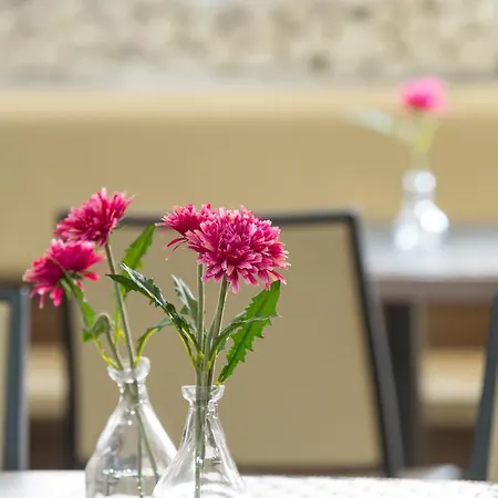 Hotel Garni Zenit Novi Sad
